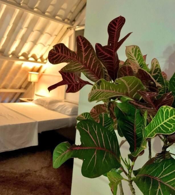 Covenitas Cabana Mar, Amplia Con Piscina Tipo Playa, Maximo 34 Personas Melgar Exterior foto